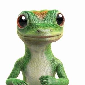 Geico hasn't always been synonymous with the gecko. Geico Auto Insurance Company Behaviour / Problems / Issues ...