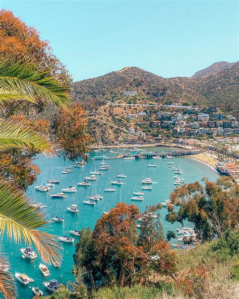 First Timers Guide What To Do On Catalina Island Catalina Island