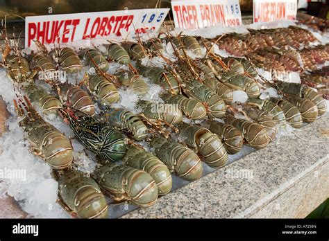A Selection Of Fresh Phuket Lobsters On Ice Displayed In A Seafood
