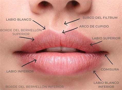 LOS LABIOS Copy Gold Store