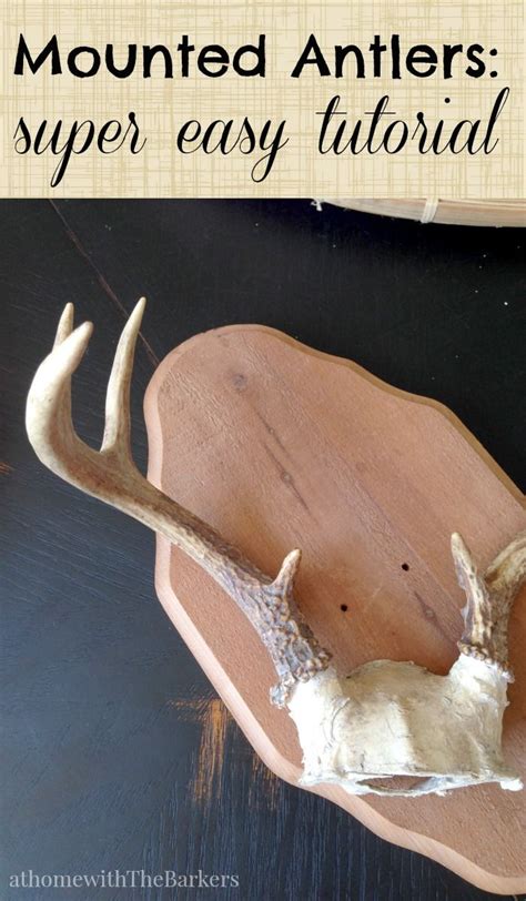 Here you can choose to shop by feature or by style/period, with hundreds of listings ranging from victorian or edwardian to art deco or arts & crafts, enabling you to add something special to your collection or something unique to your walk. Mounted Antlers | Deer antler crafts, Antler crafts, Antlers