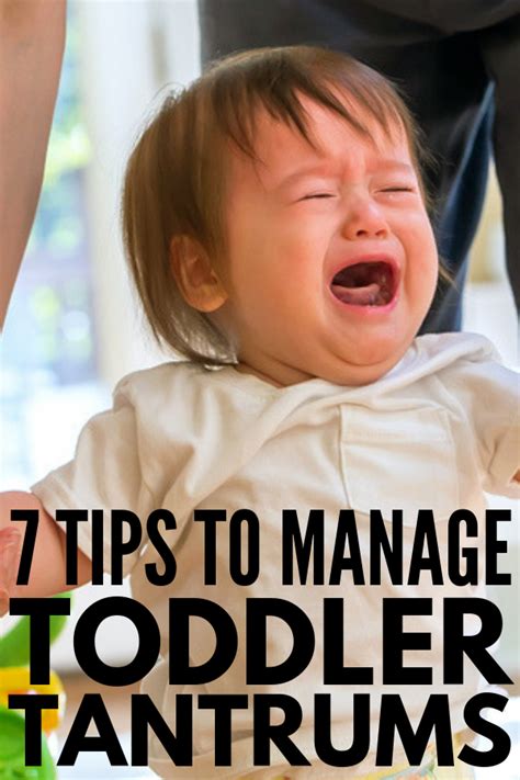 7 Tips For Managing And Preventing Toddler Temper Tantrums What To