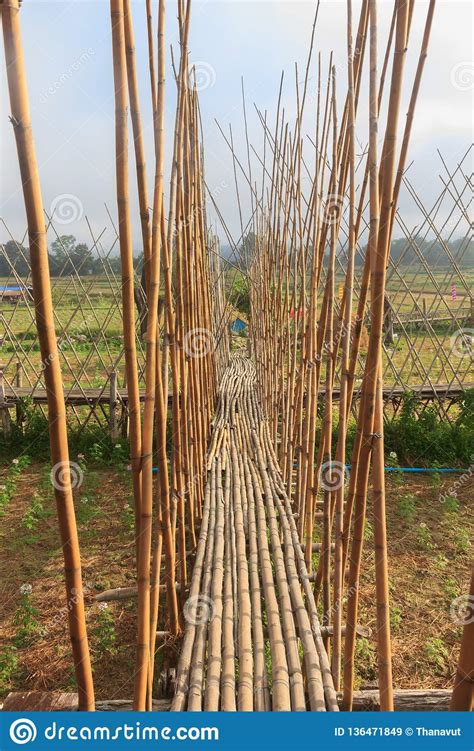 The Bridge Made Of Bamboo Stock Image Image Of Beautiful 136471849
