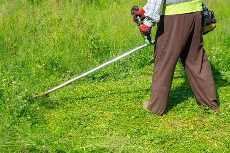 The Gardener Cutting Grass By Lawn Mower Lawn Care Stock Image Image