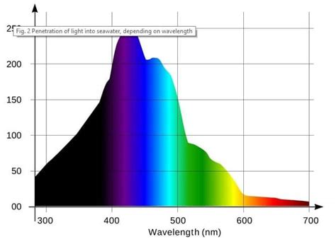 Best Light Spectrum For Coral Growth Aquarium Adviser