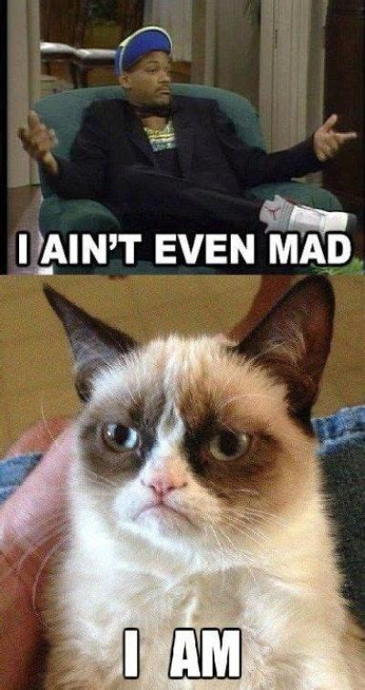 Yes I Am Funny Grumpy Cat Memes Grumpy Cat Grumpy Cat Quotes