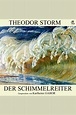 Listen to Der Schimmelreiter Audiobook by Theodor Storm