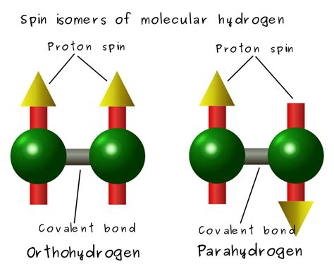 Difference Between Ortho and Para Hydrogen | Compare the Difference Between Similar Terms