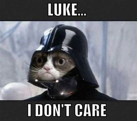 Darth Vader Grumpy Cat Tard The Grumpy Cat Faxo