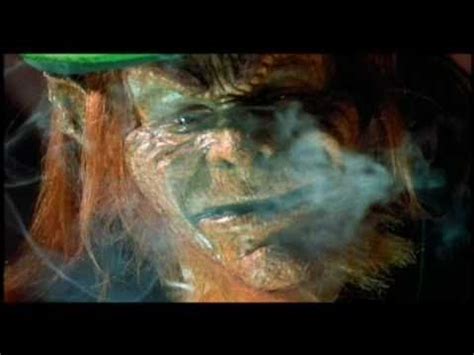 The hood had flexible reinforcements inside the peak, to give it structure, and to keep it off your face. Leprechaun In The Hood Trailer - YouTube