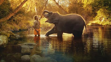 The Elephant Whisperers Review Touching Story Of A Couples Life With
