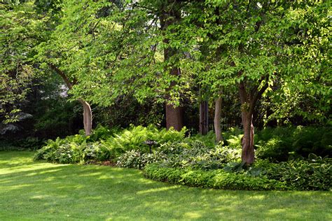 Usa Parks Trees Grass Detroit Garden Nature Wallpapers Hd