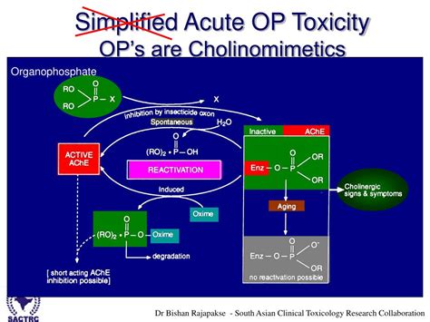 Organophosphate Poisoning Ppt Bkfer