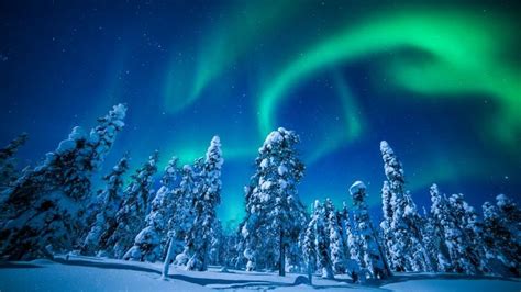 Lapland Finland Winter Snow Tree Night Northern Lights 5k