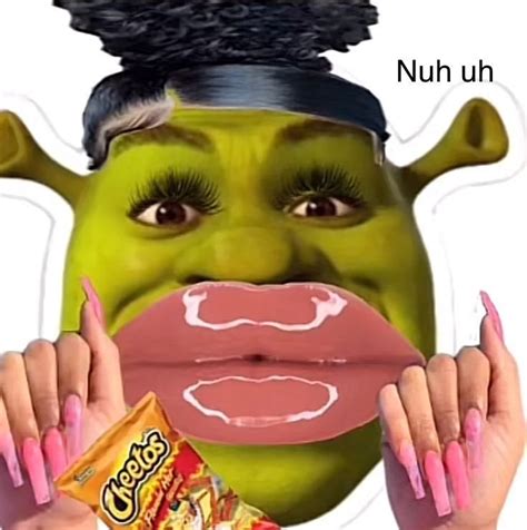 I When Someone Wants To Take Your Cheetos In 2022 Shrek Funny Cute