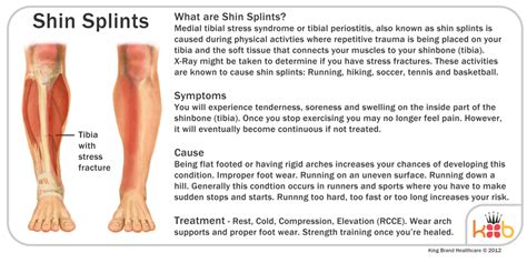 Shin Splints Food Diet Plan