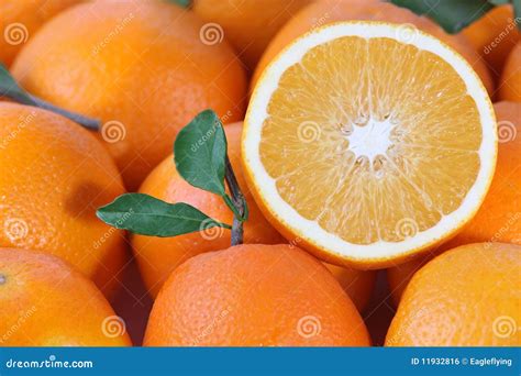 Fresh Juicy Sweet Oranges Stock Photo Image Of Background 11932816