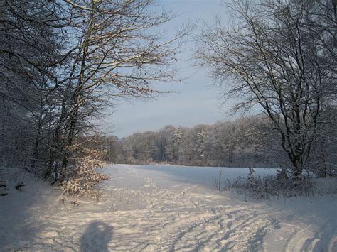 Snowy Fields Snowy Field Snowy Field Nature Photography Landscape