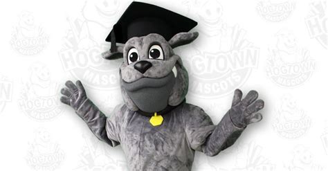 How School Mascots Are Celebrating This Years Graduates Custom