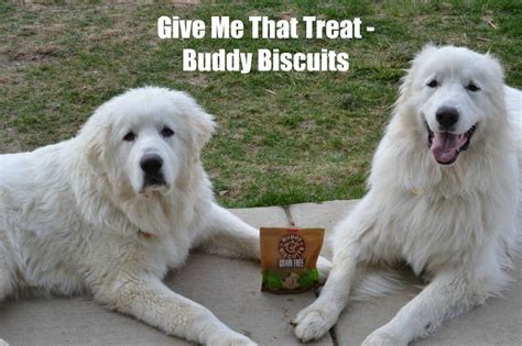 Buddy biscuits biscuits original oven baked treats with peanut. Give Me That Treat - Buddy Biscuits - It's Dog Or Nothing ...