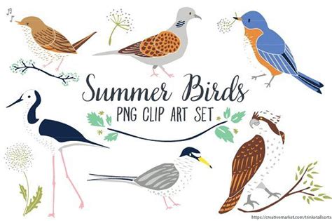 Summer Bird Clip Art Summer Clip Art By Trinket Allsorts On