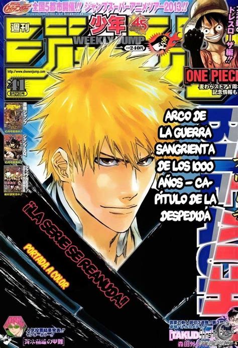 Pin By Juan Molina On Bleach Bleach Anime Manga Covers Anime