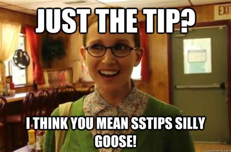 just the tip i think you mean sstips silly goose sexually oblivious female quickmeme