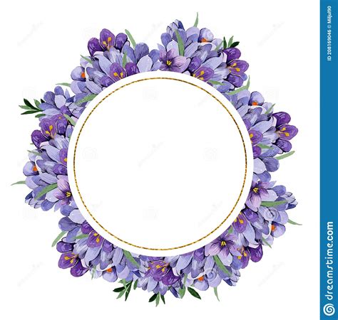 Watercolor Beautiful Floral Wreath Of Blue Spring Crocus Flowers Stock