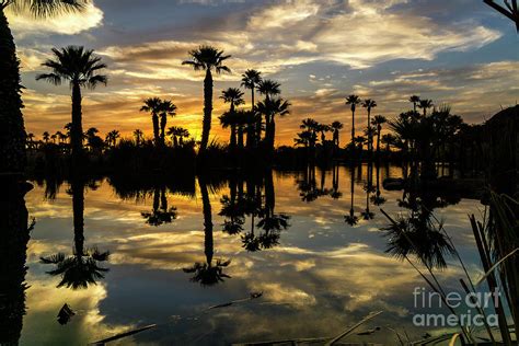 Phoenix Sunset Photograph By Steve Rowland Fine Art America