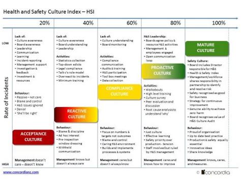 Health Safety Culture Online Surveys Concordia NZ
