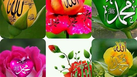 Mashallah Allah Muhammad Ke Name Flower Dps Allah Name Rose