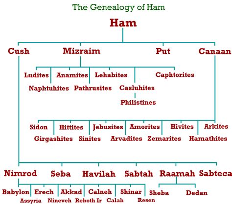 The Genealogy Of Ham Bible Knowledge Bible Facts Bible Study Help