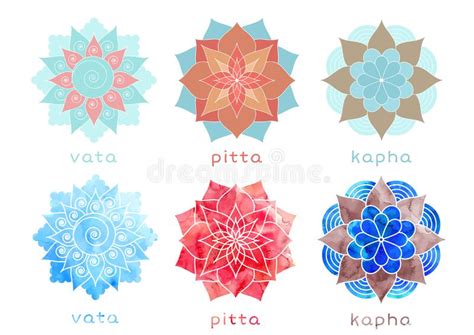 Pitta Dosha Ayurvedic Body Type Stock Vector Illustration Of Texture