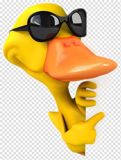 Duck Wearing Sunglasses American Pekin Duck Illustration Cartoon