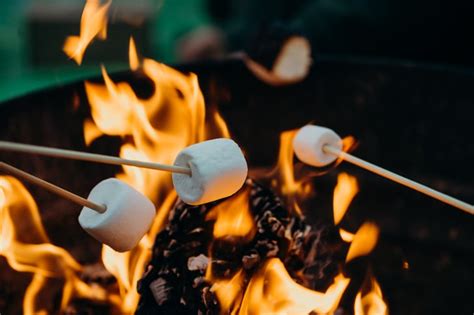 Roast Marshmallows Holiday Activities For Friends Popsugar Love