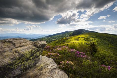 Blue Ridge Appalachian Mountains Spring Flowers Stock Photo Image Of