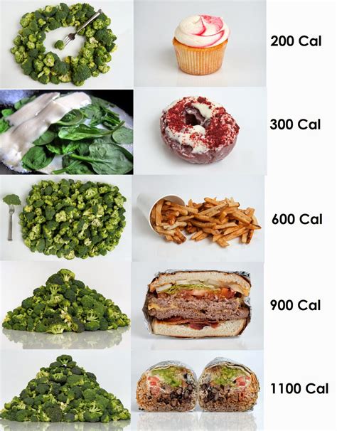 What Does 200 Calories Look Like Infographic Laptrinh