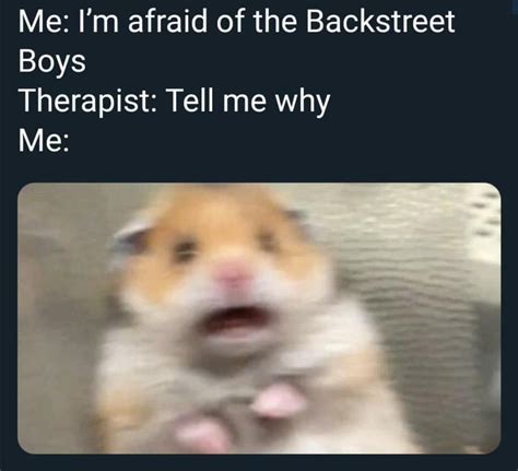 Aint Nothing But A Heartache Scared Hamster Know Your Meme