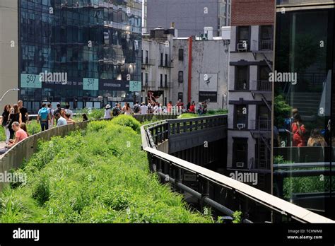 The High Line Park With Visitorsmanhattan New York Cityusa Stock