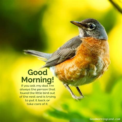 Good Morning Birds Love Images Wisdom Good Morning Quotes