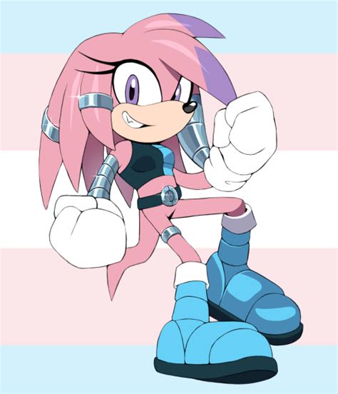 Pin By Mre64 On Sonic Fanart In 2021 Pride Flag Colors Trans Pride