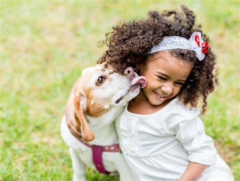 Las Mejores Razas De Perros Para Niños Consejos Miscota