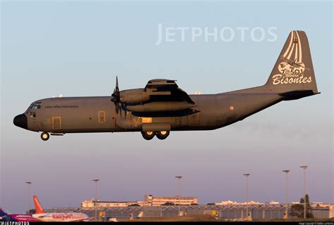 16806 Lockheed C 130h 30 Hercules Portugal Air Force Matteo
