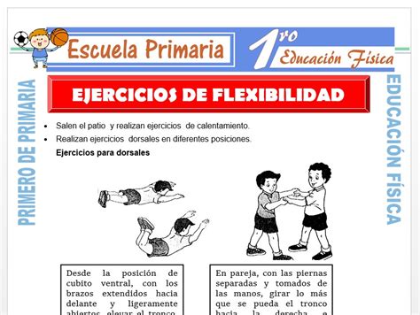 Ejercicios De Flexibilidad En Educacion Fisica Actualizado Junio Hot