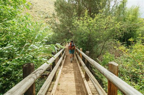 Goldbug Hot Springs In Idaho 8 Essential Tips To Hike Soak And Camp