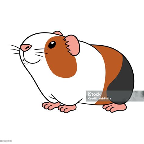 Cartoon Guinea Pig Vektor Illustration Stock Vektor Art Und Mehr Bilder