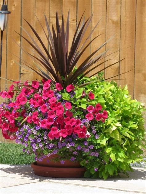 75 Beautiful Summer Container Garden Flowers Ideas Homekover
