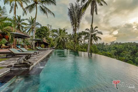 Villa Bodhi Bali Property Bali Real Estate Land For Sale In Bali
