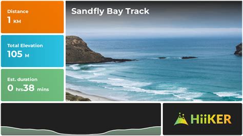 Sandfly Bay Track New Zealand Campgrounds And Places To Stay