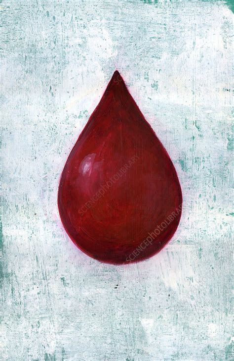 Illustration Of Blood Drop Stock Image F0194928 Science Photo